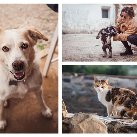 Country house Recanto D'aldeia *