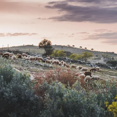 בית כפרי Recanto D'aldeia אלקוטים